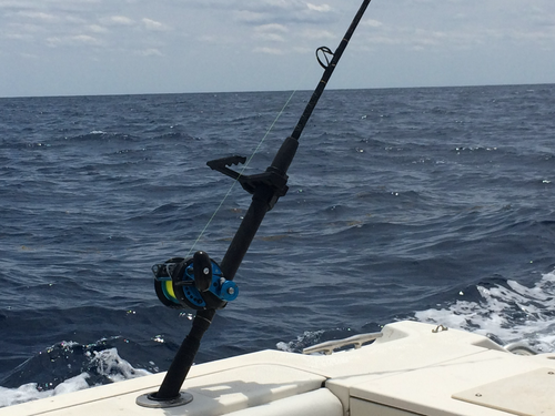 The Rod Assistant